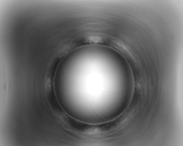 X0000089420551200706221155