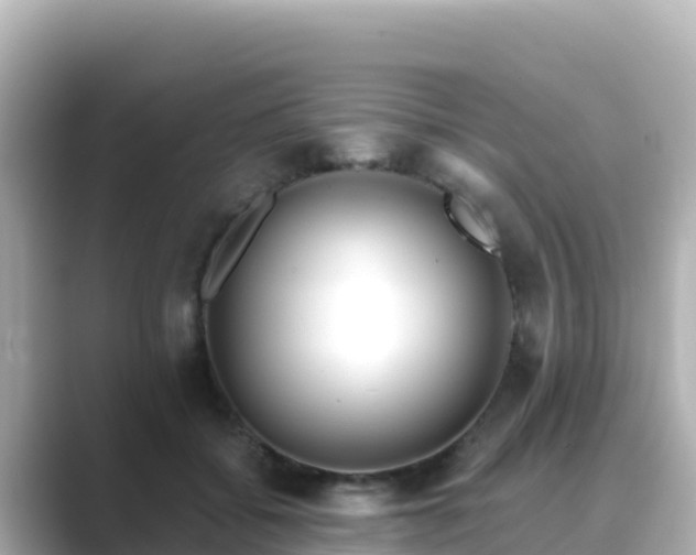 X0000089420556200706221155