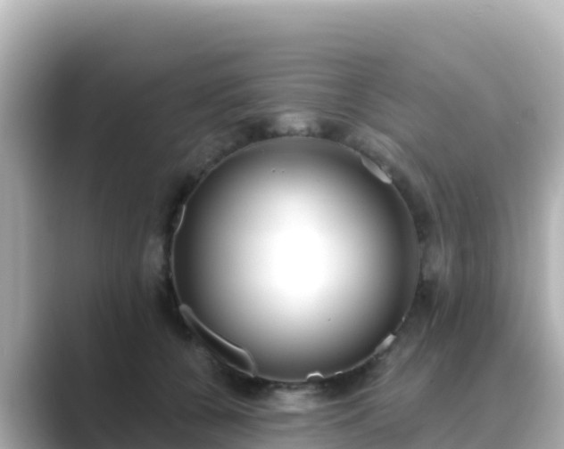 X0000089420560200706221155