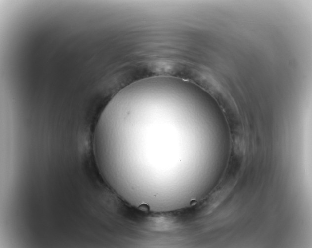 X0000089420561200706221155