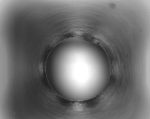 X0000089420562200706221155