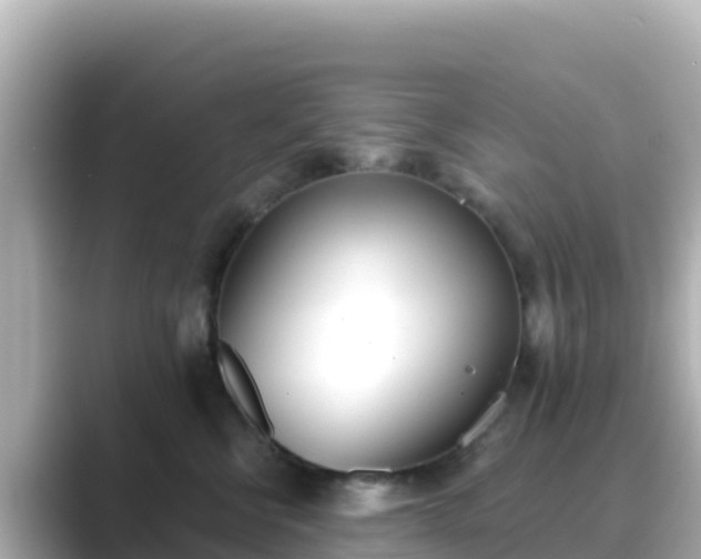 X0000089420570200706221155