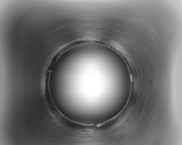 X0000089420580200706221155