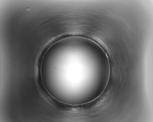 X0000089420584200706221155