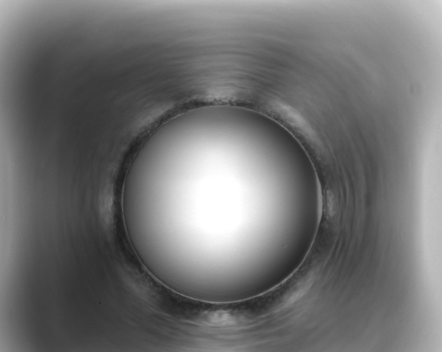 X0000089420588200706221155