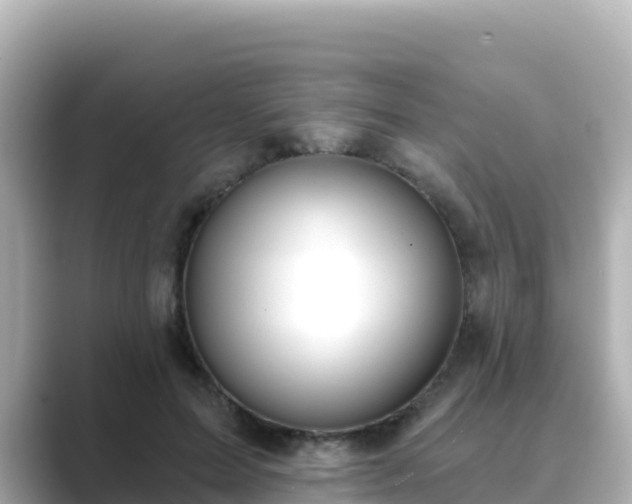 X0000089420599200706221155