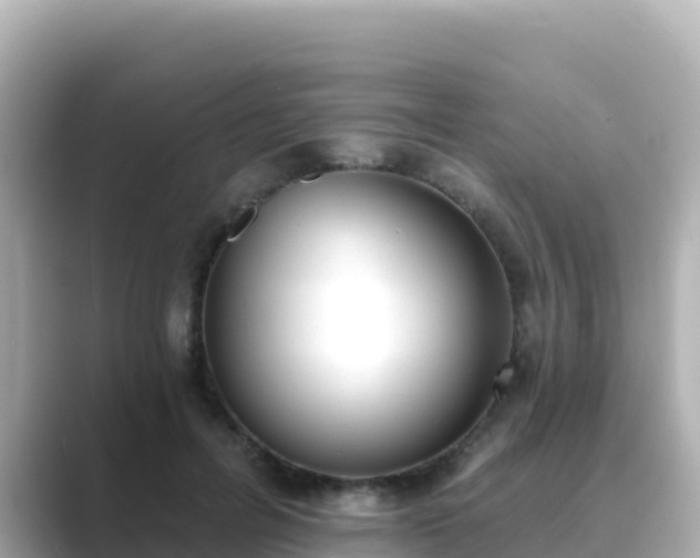 X0000089420600200706221155