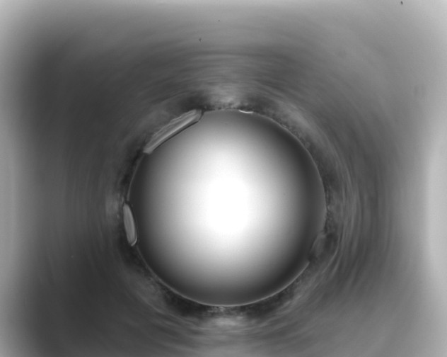 X0000089420601200706221155