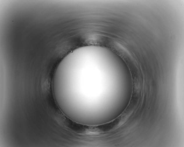 X0000089420603200706221155