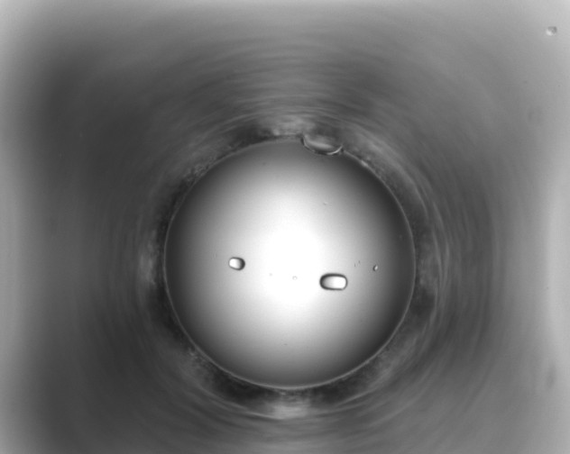 X0000089420604200706221154