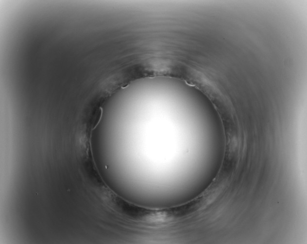 X0000089420609200706221154