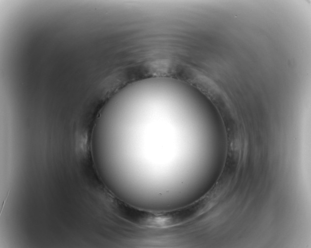 X0000089420610200706221154