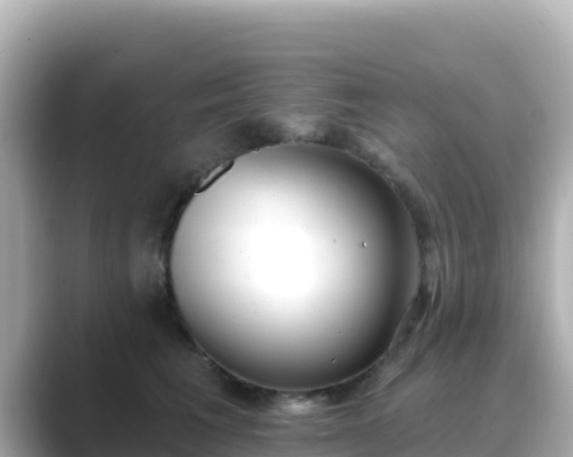 X0000089420613200706221154