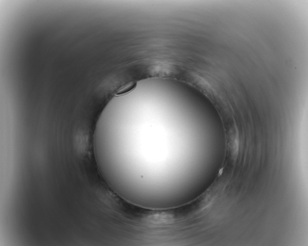 X0000089420619200706221154