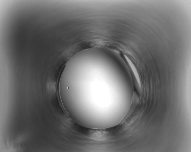 X0000089420621200706221154