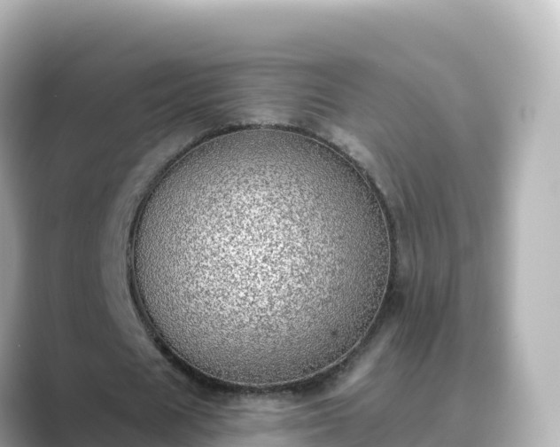 X0000089420625200706221154