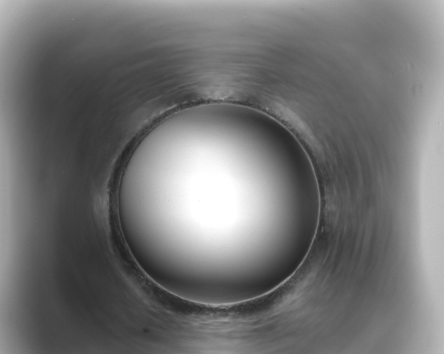 X0000089420626200706221154