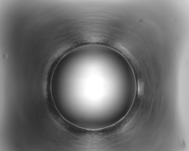 X0000089420627200706221154