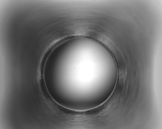 X0000089420628200706221154