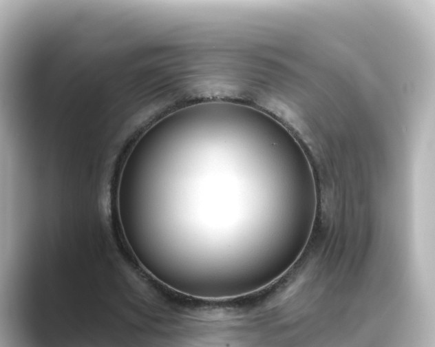 X0000089420629200706221154