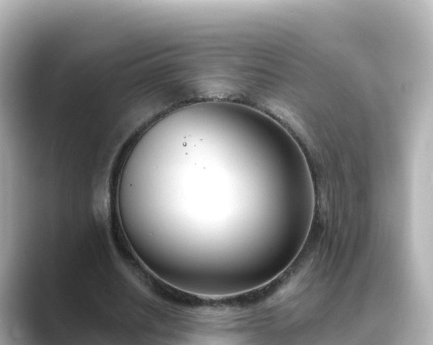 X0000089420630200706221154