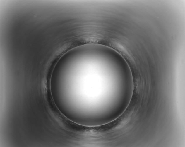 X0000089420634200706221154