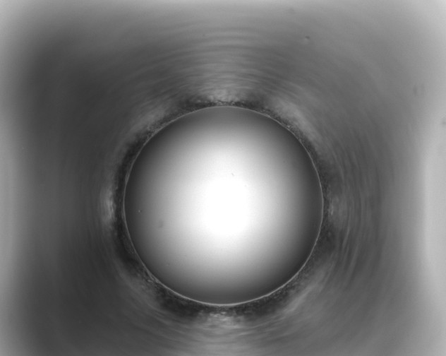 X0000089420635200706221154