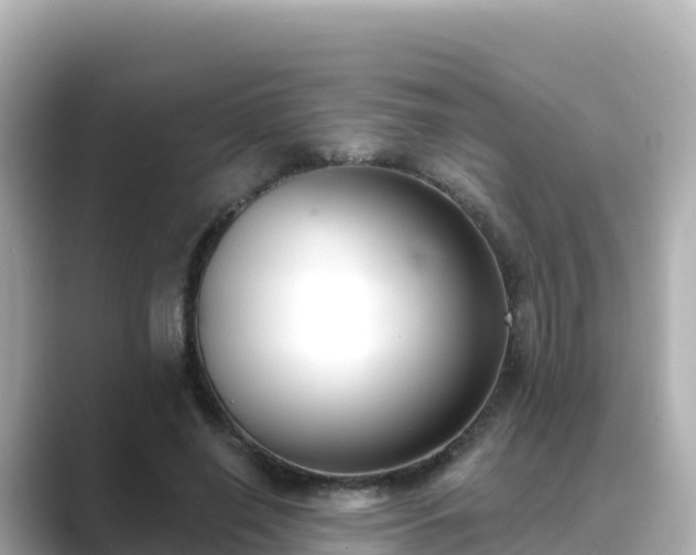 X0000089420638200706221154