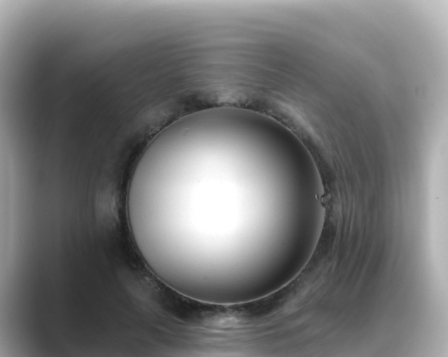 X0000089420643200706221154