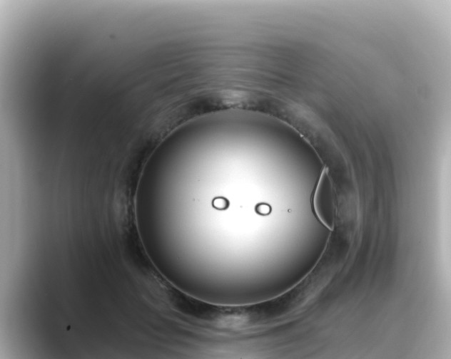 X0000089420653200706221154