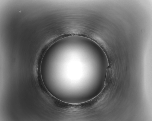 X0000089420680200706221154