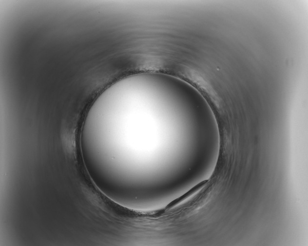 X0000089420681200706221154