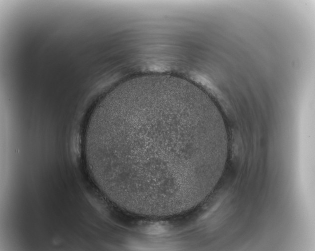 X0000089420683200706221154