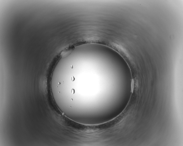 X0000089420684200706221154