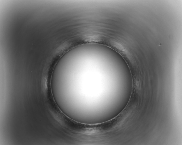 X0000089420686200706221154