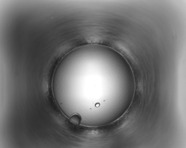 X0000089420687200706221153