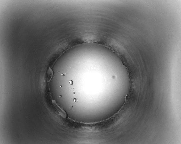 X0000089420690200706221153