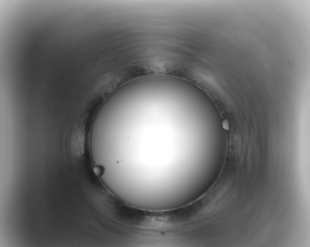 X0000089420694200706221153