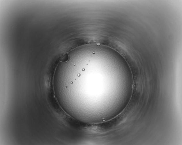 X0000089420695200706221153