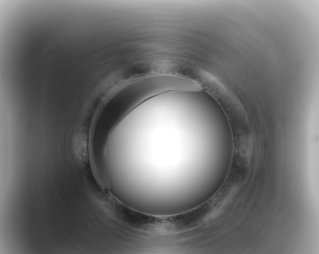 X0000089420696200706221153