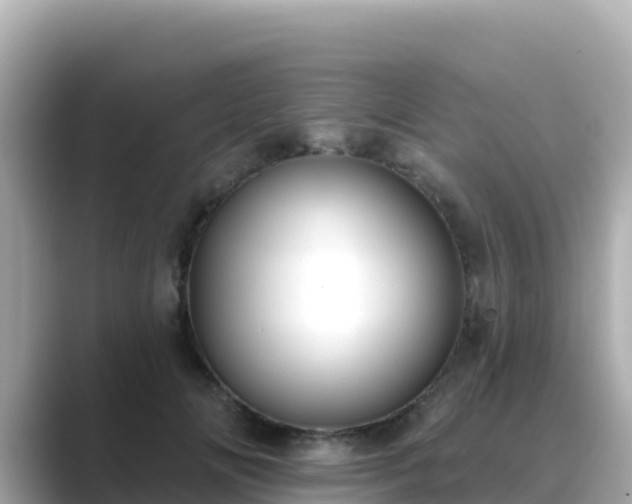 X0000089420702200706221153