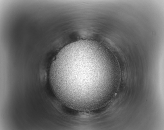 X0000089420703200706221153