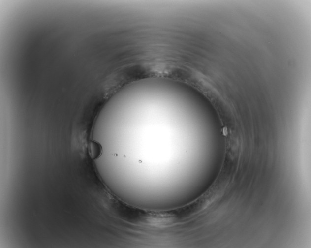 X0000089420707200706221153