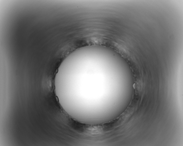 X0000089420709200706221153