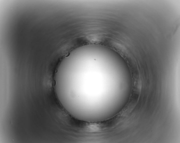 X0000089420710200706221153