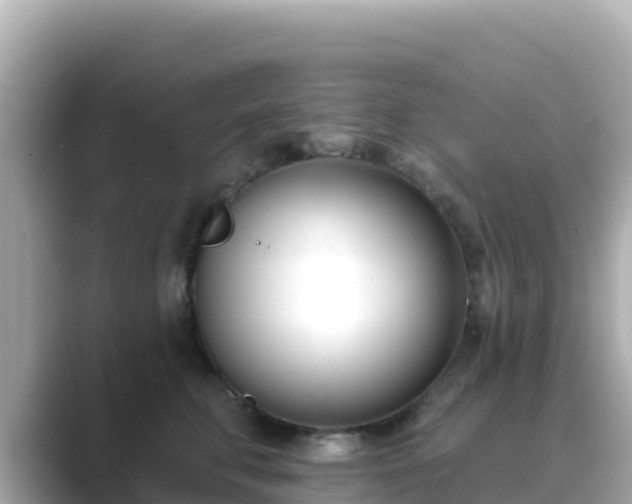 X0000089420711200706221153