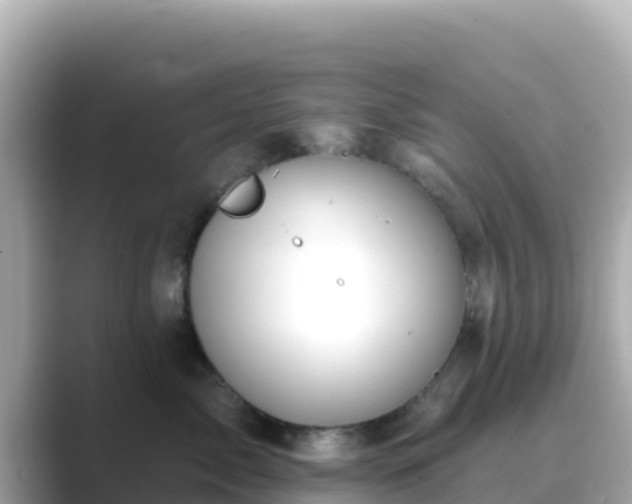 X0000089420717200706221153