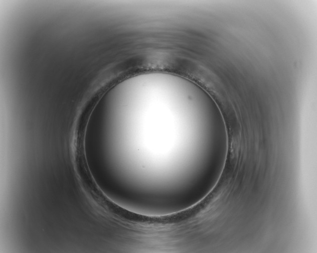 X0000089420722200706221152