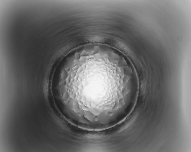 X0000089420725200706221152