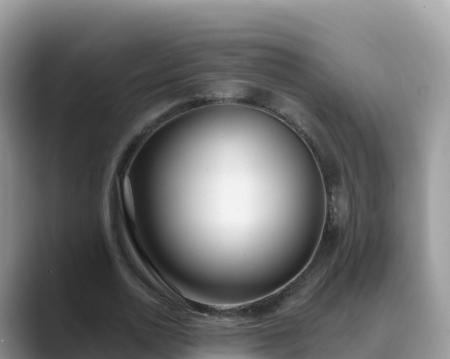 X0000089420726200706221152